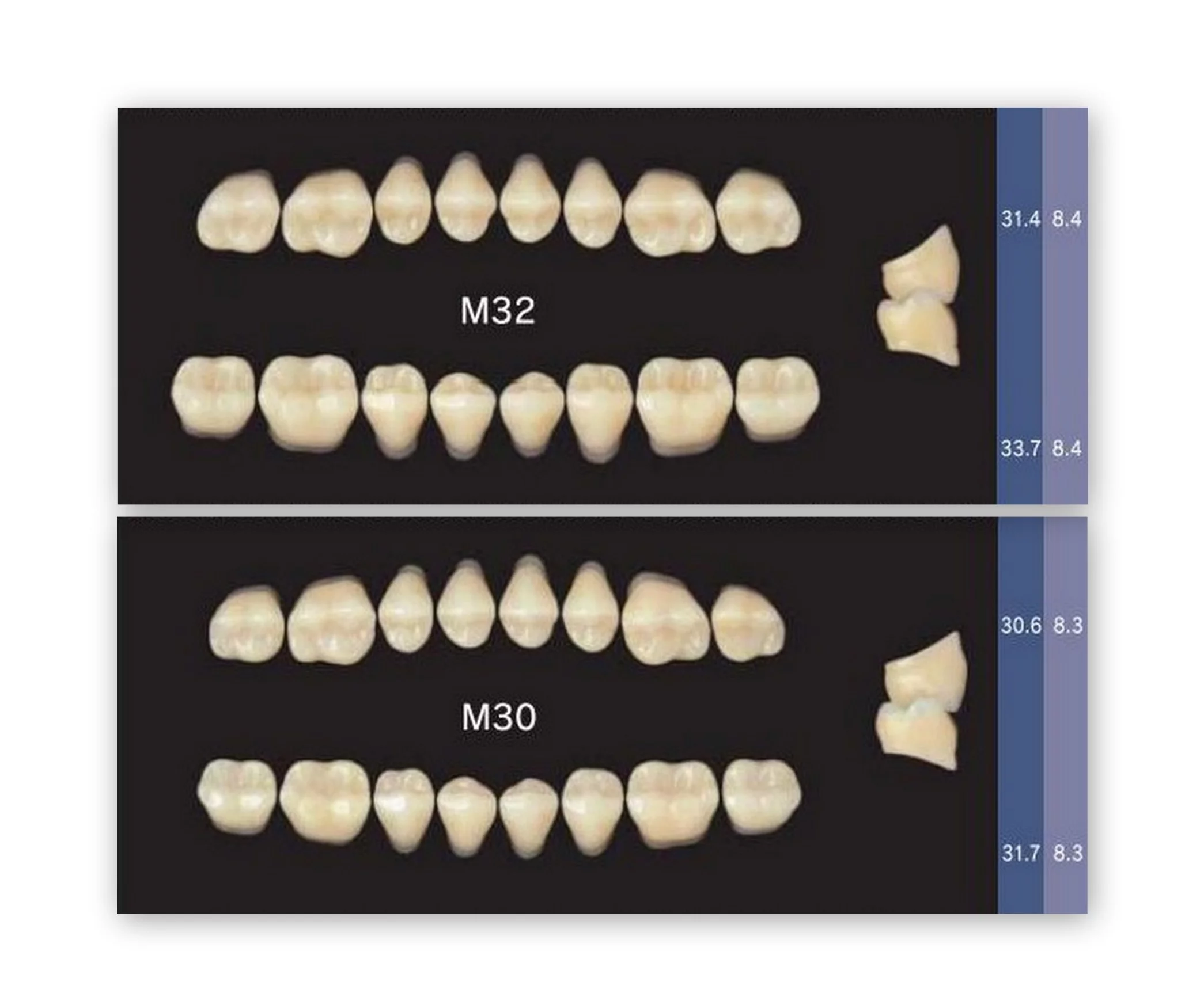 Garnituri de dinti acrilat set complet T1A3 - imagine 2