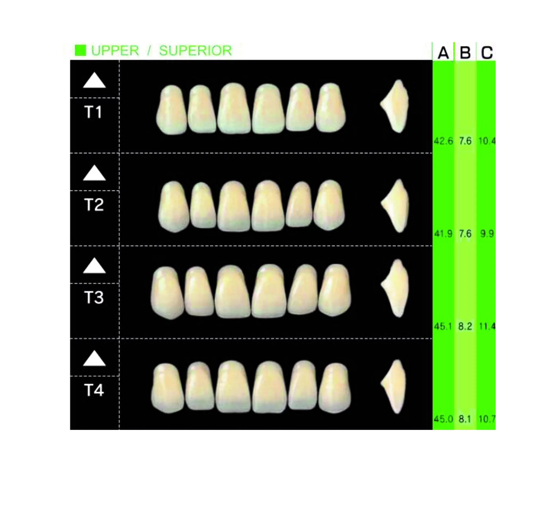 Garnituri de dinti acrilat set complet T1A3 - imagine 3