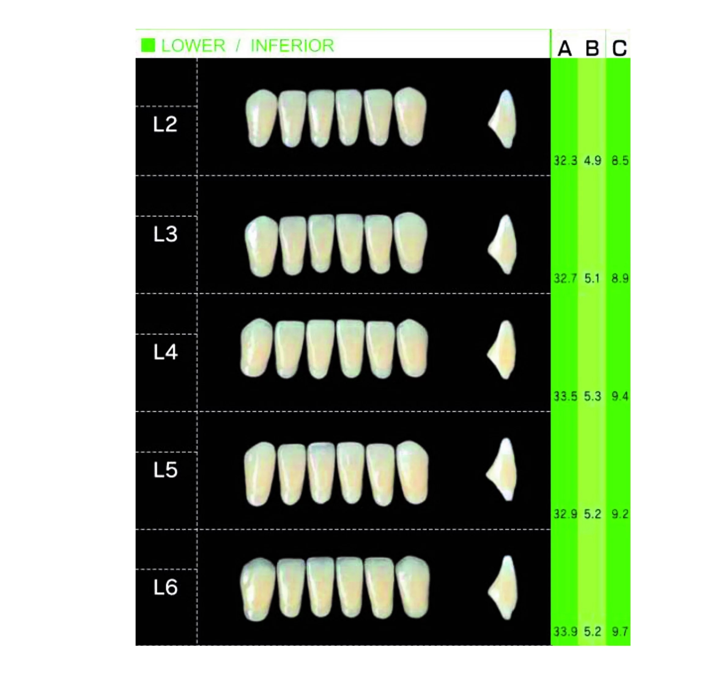 Garnituri de dinti acrilat set complet T1A3 - imagine 4