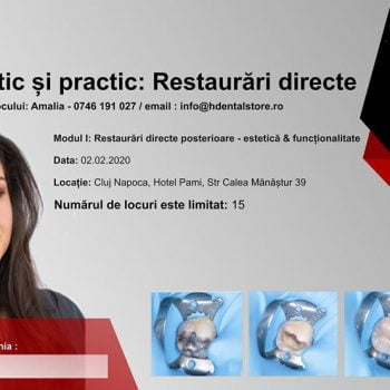 Curs teoretic și practic: Restaurari directe