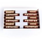 Garnitura dinti acrilat asort T1-T2-T3 A2