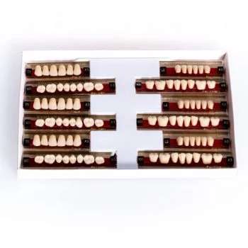 Garnitura dinti acrilat asort T1-T2-T3 A2