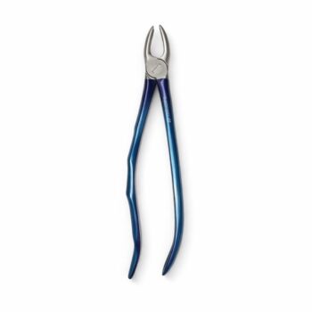 Cleste frontali superiori